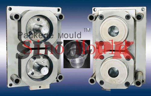 Closure Moulding Supplier